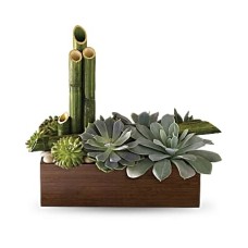 Peaceful Zen Garden Peaceful Zen Garden