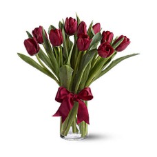 Radiantly Red Tulips (Standard)