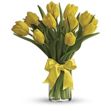 Sunny Yellow Tulips (Standard)