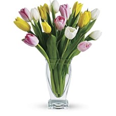 Tulip Treasure (Deluxe)