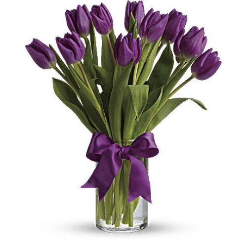 Passionate Purple Tulips (Standard)