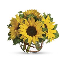 Sunny Sunflowers (Standard)