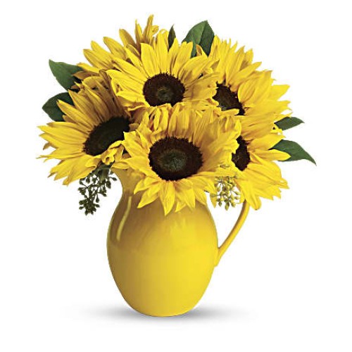 Sunny Day Pitcher of Sunflowers (Premium)