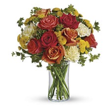 Citrus Kissed (Deluxe)