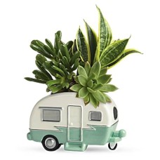 Cool Camper Succulent Garden