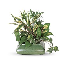Small Garden Dish