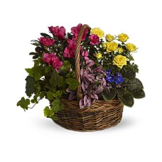 Blooming Garden Basket