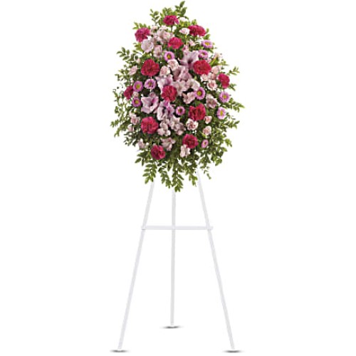Pink Tribute Spray
