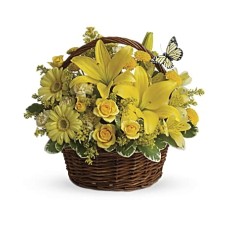 Basket Full of Wishes (Deluxe)