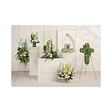 Tranquil Peace Collection