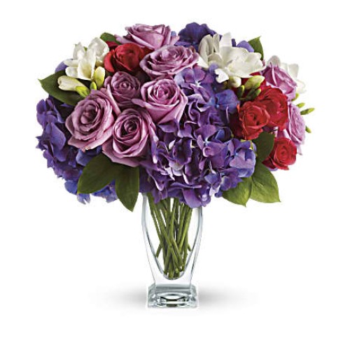 Rhapsody in Purple (Standard)