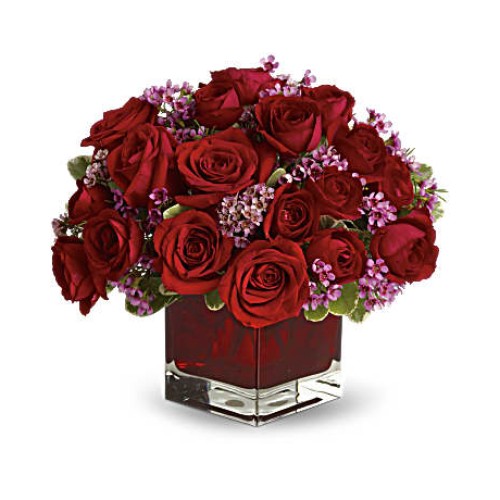Never Let Go by  - 18 Red Roses (Standard)