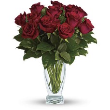 Rose Classique - Dozen Red Roses (Deluxe) Rose Classique - Dozen Red Roses (Deluxe)