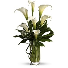 My Fair Lady by (Standard) My Fair Lady by (Standard)