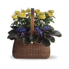Garden To Go Basket