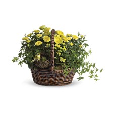 Yellow Trio Basket