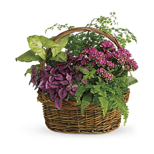 Secret Garden Basket