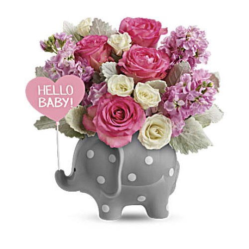 Hello Sweet Baby - Pink (Standard)