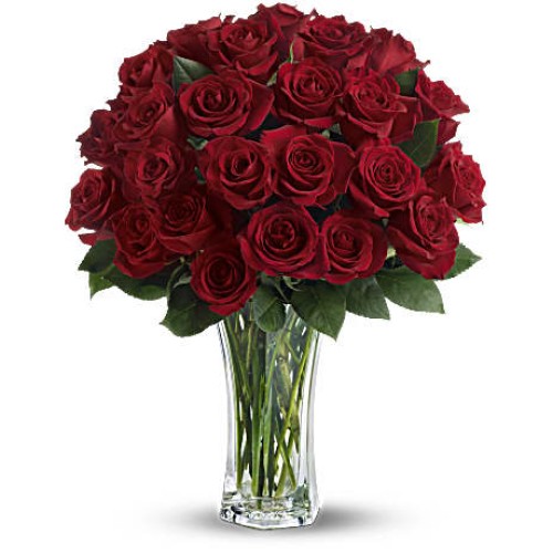 Love and Devotion - Long Stemmed Red Roses (Premium)