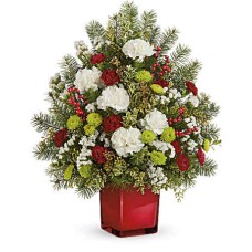 Radiant Winter Tree (Standard)