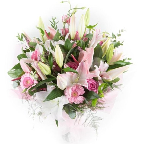 Pink Haze (Standard price)