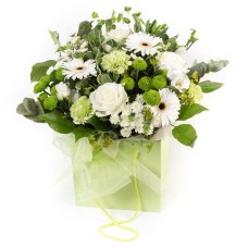 Lime and White Gift Bag (Medium)