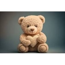 Medium Teddy