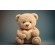 Medium Teddy