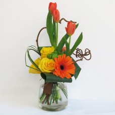 Vibrant Blooms