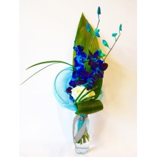 Truly Blue