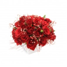 Red roses with white cubic vase