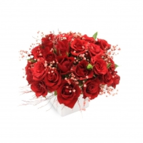 Red roses with white cubic vase