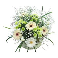 Spring freshness (Large)