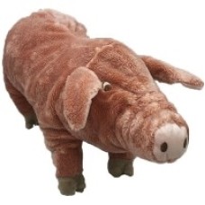 Pink Piggy