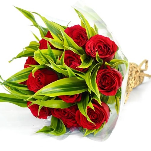 Lovely Rose