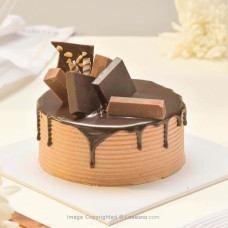 CHOCOLATE OVERLOAD BENTO 250G