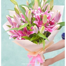 BLOOM STORY
