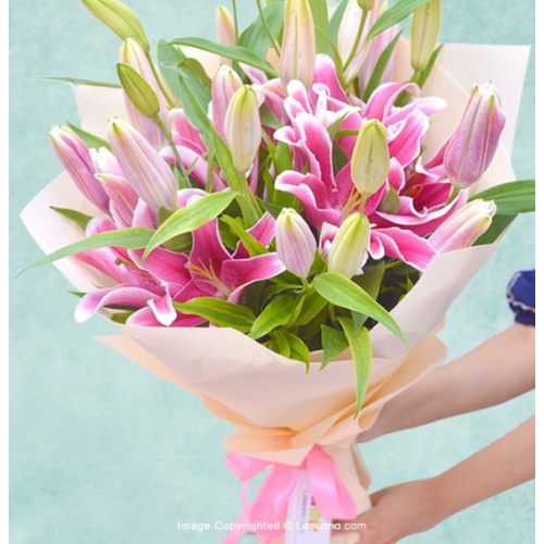 BLOOM STORY