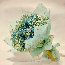 BLUE SNOW