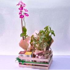 EARTHLY ELEGANCE GIFT BASKET