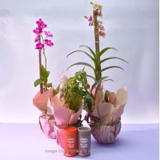 BOTANICAL BLISS GIFT SET