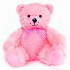 Pink Teddy Bear - 12Inch
