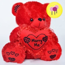MARRY ME Plush Toy Teddy (Large)