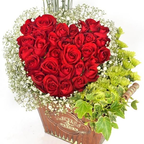 Luxury Romance