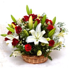 Winter Blooms