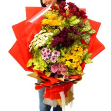 Splendid Blooms