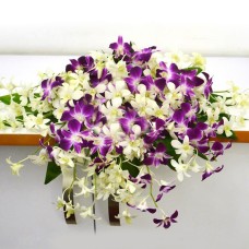 Orchid Podium Arrangement