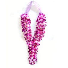 Vip Garland - 2 Ft