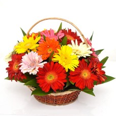 Gerberas Mix Flower Basket