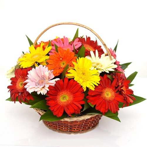 Gerberas Mix Flower Basket